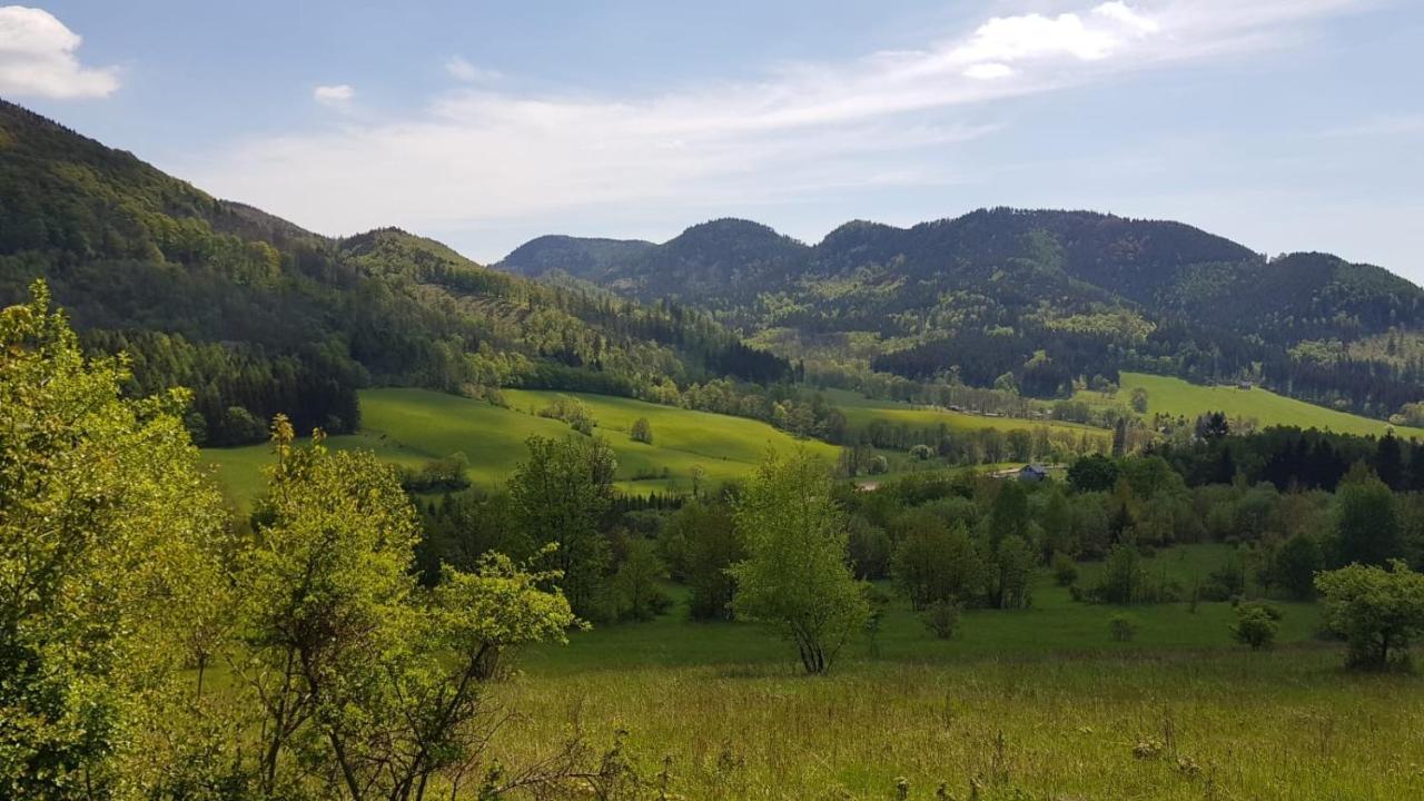 Sloneczne Apartamenty Sokolowsko المظهر الخارجي الصورة