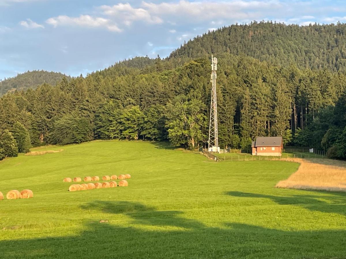 Sloneczne Apartamenty Sokolowsko المظهر الخارجي الصورة